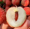 甜醉了 煙臺(tái)蘋果棲霞紅富士新鮮水果生鮮山東特產(chǎn)脆甜整箱平果禮盒禮品 凈重5斤 85mm 曬單實(shí)拍圖