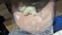 名創(chuàng)優(yōu)品（MINISO）吉福特熊乖乖坐姿大號公仔毛絨玩具小熊玩偶抱枕生日禮物七夕禮物 曬單實(shí)拍圖