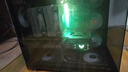 華碩i9 14900KF 華碩ROG全家桶 5070Ti/RTX5080主機 5090D顯卡U7 265K主機游戲電競AI渲染組裝電腦整機 U7 265KF+RTX5070Ti丨五 曬單實拍圖