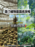 晨光（M&G）哪吒筆記本禮盒套裝高顏值9件套國風(fēng)文創(chuàng  )手帳伴手禮十歲生日禮物送禮升學(xué)禮物考試必備HAPN2731 曬單實(shí)拍圖