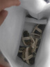 【活蟹】湖鮮陽(yáng)澄大閘蟹全母3.3-3.6兩8只去繩足重現貨鮮活水產(chǎn)超大螃蟹送禮海鮮禮盒裝 曬單實(shí)拍圖