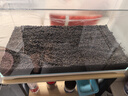 瘋狂水草魚(yú)缸水草種子水培植物直接入魚(yú)缸造景水草籽種子速成小對葉牛毛草 曬單實(shí)拍圖