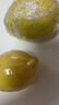 廣東香水黃檸檬包郵新鮮水果檸檬精選皮薄奶茶店專(zhuān)用整箱 現貨 黃香水檸檬6粒裝  單果70g+ 曬單實(shí)拍圖