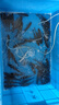 淘歌魚(yú)缸氧氣泵養魚(yú)增氧泵低音大氣量家用魚(yú)缸增氧打氧機AP988(12w) 曬單實(shí)拍圖