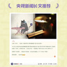 我媽已經(jīng)三天沒有打我了（“央視新聞”長文推薦！百萬暢銷書作家老楊的貓頭鷹新作）  曬單實拍圖