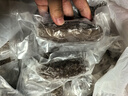 三只海豚三只海豚 即食海參單個裝大連刺參海鮮水產(chǎn)3-5只500g 曬單實拍圖