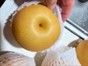 京地達山東秋月梨凈重8斤單果400g+新鮮水果脆甜梨子大果源頭直發(fā)包郵 曬單實(shí)拍圖