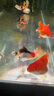 備能 英國大白片內寄魚(yú)藥龍魚(yú)用錦鯉鸚鵡凸眼頭洞爛尾白點(diǎn)水霉病40片 曬單實(shí)拍圖