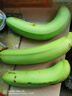 精品云南香蕉高山香蕉現(xiàn)摘新鮮水果甜生青香蕉banana自然熟綠皮 精品高山蕉 9斤 曬單實拍圖