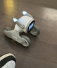 可立寶Loona機(jī)器狗 AI具身智能機(jī)器人兒童編程學(xué)習(xí)機(jī)器人CES創(chuàng)新獎(jiǎng)?wù)Z言切換互動(dòng)早教玩具 童趣限定藍(lán)套裝 曬單實(shí)拍圖
