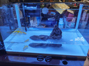 森森 超白玻璃小型熱彎水草魚(yú)缸HRK-600套缸+過(guò)濾器+水草燈 曬單實(shí)拍圖