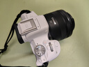 佳能（Canon）RF 35mm F1.8 MACRO IS STM廣角微距定焦鏡頭 微單鏡頭 人像靜物拍攝 適用佳能R系列 曬單實(shí)拍圖