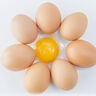 土雞蛋農家正宗散養新鮮柴雞蛋現撿現發(fā)粉殼大枚快遞包郵破損包賠 農家拔攔圈養土雞蛋 粉色蛋殼玉米黃色蛋4枚40g 曬單實(shí)拍圖