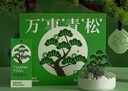 紅笙萬(wàn)事青松香薰禮盒放輕松桌面擺件生日禮物男士實(shí)用高級小眾禮品 k203-空山新雨【禮盒裝】 曬單實(shí)拍圖