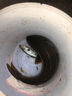 金龍 魚(yú)餌野釣窩料五谷雜糧底窩鯽魚(yú)鯉魚(yú)草魚(yú)青魚(yú)水庫重窩巨物打窩料 巨物霸·餌（2包） 曬單實(shí)拍圖