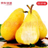 京地達甘肅太婆梨 香蕉梨放軟吃 凈重4.5斤單果150g+ 源頭直發(fā)包郵 曬單實拍圖