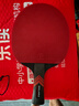 帝斯藍卡DESLANKA乒乓球拍專(zhuān)業(yè)級單拍九星直拍橫拍碳素球板7星9星比賽高彈兵乓球拍 專(zhuān)業(yè)九星級直拍1個(gè) 曬單實(shí)拍圖