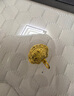 老廟黃金吊墜寶寶滿(mǎn)月金飾品平安百福小鎖包周歲禮物復購補貼 曬單實(shí)拍圖