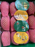 佳沛（zespri）新西蘭 陽光金奇異果12粒禮盒特大果單果約122-146g 獼猴桃 水果 曬單實拍圖