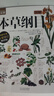 圖解本草綱目+圖解黃帝內經(jīng)（全2冊） 白話(huà)文圖解 彩圖珍藏版 醫學(xué)養生書(shū)籍 中醫養生保健 曬單實(shí)拍圖
