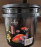 瘋狂水草蘭壽飼料魚(yú)糧/飼料蘭壽金魚(yú)專(zhuān)用飼料魚(yú)食上浮增色高蛋白不渾水 曬單實(shí)拍圖