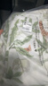 童泰（TONGTAI）嬰兒套裝四季純棉寶寶衣服男女童家居服內(nèi)衣上衣褲子綠色80碼 曬單實(shí)拍圖