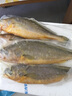 海名威 冷凍黃花魚(yú)700g/2條 寧德大黃魚(yú)地標 海鮮水產(chǎn) 生鮮魚(yú)類(lèi) 中秋 曬單實(shí)拍圖