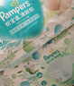幫寶適（Pampers）超薄干爽拉拉褲男女通用綠幫成長(cháng)褲褲式嬰兒小內褲學(xué)步褲寶寶 XXL90片【≥15kg】 曬單實(shí)拍圖