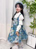 迪士尼（Disney）洛麗塔公主裙女小童春季連衣裙春裝新款網(wǎng)紅背帶裙女寶寶洋氣春秋 藍(lán)色 + 120 適合身高110-120cm年齡6-7周 曬單實(shí)拍圖