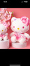 凱蒂貓（hellokitty）三麗鷗KT貓毛絨玩偶玩具抱枕娃娃七夕情人節禮物女孩生日高級小眾 曬單實(shí)拍圖