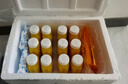 銳澳（RIO）雞尾酒 預調酒 果酒洋酒 清爽強爽多口味組合裝330ml*6罐隨機發(fā)貨 曬單實(shí)拍圖
