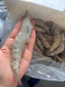 北海灣 厄瓜多爾白蝦 大蝦鮮活速凍鹽凍南美白蝦基圍蝦海蝦對蝦海鮮批發(fā) 【超大蝦王 17-21cm】 3斤(凈重) 曬單實(shí)拍圖