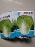 早熟五號大白菜種子50天秋冬四季播種耐熱高產(chǎn)小白菜種子蔬菜種籽 早熟五號白菜種子 5包約5000粒 曬單實(shí)拍圖