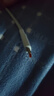 榮耀 6A大電流數(shù)據(jù)線 USB Type-A轉(zhuǎn) USB Type-C接口  適配榮耀Magic7/榮耀300  華為Mate70 曬單實拍圖