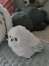 北京環(huán)球影城代購貓頭鷹哈利波特海德薇雪信使站肩互動(dòng)聲控玩具 雪信使互動(dòng)貓頭鷹 曬單實(shí)拍圖