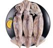 美加佳 鮮凍整只大魷魚（2-3只） 凈重550g 整條魷魚 深海捕撈 海鮮水產(chǎn) 曬單實(shí)拍圖