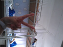 BOQY寶淇BOQY復古CCD卡片機4400w像素校園vlog學(xué)生便攜送女生禮物微單入門(mén)前后雙攝數碼照相機 太空銀【4400w像素 16x變焦】 銀色單攝 64G內存（收藏加購送卡通貼紙水晶掛繩） 曬單實(shí)拍圖