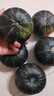 京鮮生 內蒙貝貝南瓜 凈重4.5斤(品種:盈凱) 單果240g+ 板栗香源頭直發(fā) 曬單實(shí)拍圖