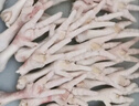 CP正大  白羽雞生鮮雞爪 冷凍 凈重4斤 鹵雞爪檸檬雞爪食材 曬單實(shí)拍圖