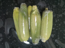 京鮮生&佳農(nóng)寶菜山東新鮮水果玉米健康輕食玉米4-6根4.5斤裝源頭直發(fā) 曬單實拍圖