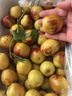 味果生陜西大荔冬棗應當季新鮮水果脆棗子冰糖紅棗灰棗現(xiàn)摘整箱水果 3斤大果【單果15-20g】 曬單實拍圖