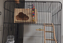 我愛我鸚我愛我鸚鸚鵡虎皮牡丹玄鳳和尚小太陽懸掛木屋小房子鳥窩牡丹實(shí)木 云朵門木窩＋s梯 曬單實(shí)拍圖