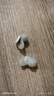 聲闊SleepA30睡眠耳機(jī)深睡艙無線降噪藍(lán)牙耳機(jī)睡覺不壓耳隔音耳塞助眠隱形小巧適用蘋果華為小米綠色 曬單實(shí)拍圖