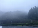 Inne因你竹節鈣賴(lài)氨酸青少年6-18歲補鈣兒童鈣鎂鋅液體鈣維d3*30條 曬單實(shí)拍圖