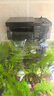 徹朗魚缸過濾器瀑布過濾器三合一凈水循環(huán)壁掛式制氧除油膜器 【濾倉空間提升35%】6W 適用60以內(nèi)魚缸 曬單實拍圖