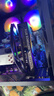 技嘉 酷睿i5 13400F臺(tái)式組裝電腦主機(jī)RTX4060Ti/5060Ti游戲高端電競(jìng)獨(dú)顯直播設(shè)計(jì)渲染整機(jī) 配置二：14代酷睿i5丨RTX5060 曬單實(shí)拍圖
