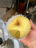 正宗碭山酥梨9斤新鮮梨子當季現(xiàn)摘酥脆老樹黃雪梨香梨翠冠梨整箱L 3斤大果【順豐快遞 現(xiàn)摘現(xiàn)發(fā)】 曬單實拍圖