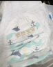 碧芭寶貝盛夏光年拉拉褲XXXL26片(≥18kg)學(xué)步褲 夏季超薄 透氣不悶熱 曬單實(shí)拍圖