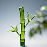 YUMIDA適用蘋果Mac無線鼠標(biāo)Air Pro筆記本藍牙鼠標(biāo)M1M2M3M4芯片電腦辦公靜音鼠標(biāo)ipad平板臺式通用 太空銀-充電( 藍牙+接收器 )+鼠標(biāo)墊 曬單實拍圖