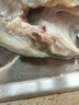 太湖?！緹o(wú)抗或有機認證 淡水鱸魚(yú)】孕婦嬰兒童食輔 鮮活三去魚(yú)類(lèi)水產(chǎn) 【無(wú)抗大鱸魚(yú)】400g/條*3條 曬單實(shí)拍圖